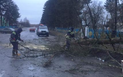 Зірвані дахи, повалені дерева, пошкоджені балкони: рятувальники ліквідовують наслідки негоди в Україні