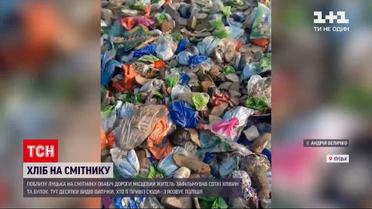 Хлеб в мусорнике | вблизи Луцка местный житель запечатлел сотни хлебов и булок на свалке