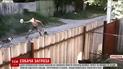На Харківщині кілька пітбулів пошматували випадкового перехожого на вулиці