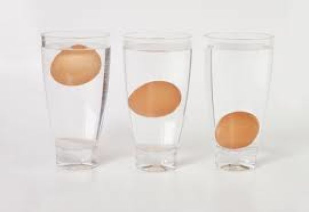 перевірити свіжість яєць у воді / © 