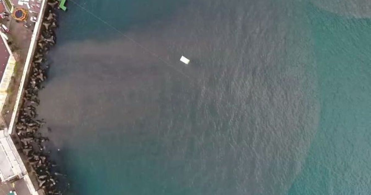 Сочі залило фекаліями_2 / © twitter Рідус