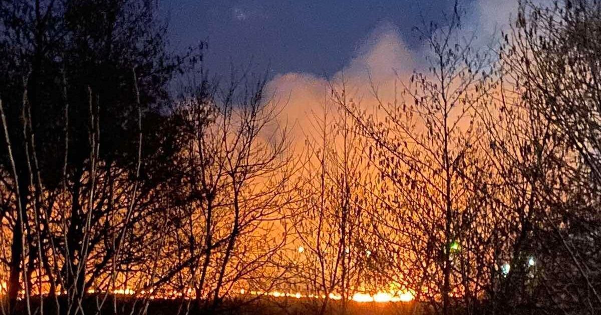 Как горело на Закарпатье: спасатели показали фото недавних лесных пожаров