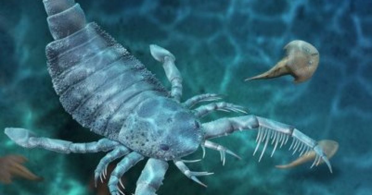 Вчені знайшли рештки древнього гігантського скорпіона розміром з собаку