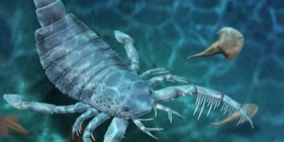 Вчені знайшли рештки древнього гігантського скорпіона розміром з собаку