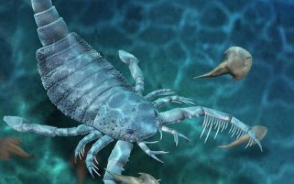 Ученые нашли останки древнего гигантского скорпиона размером с собаку
