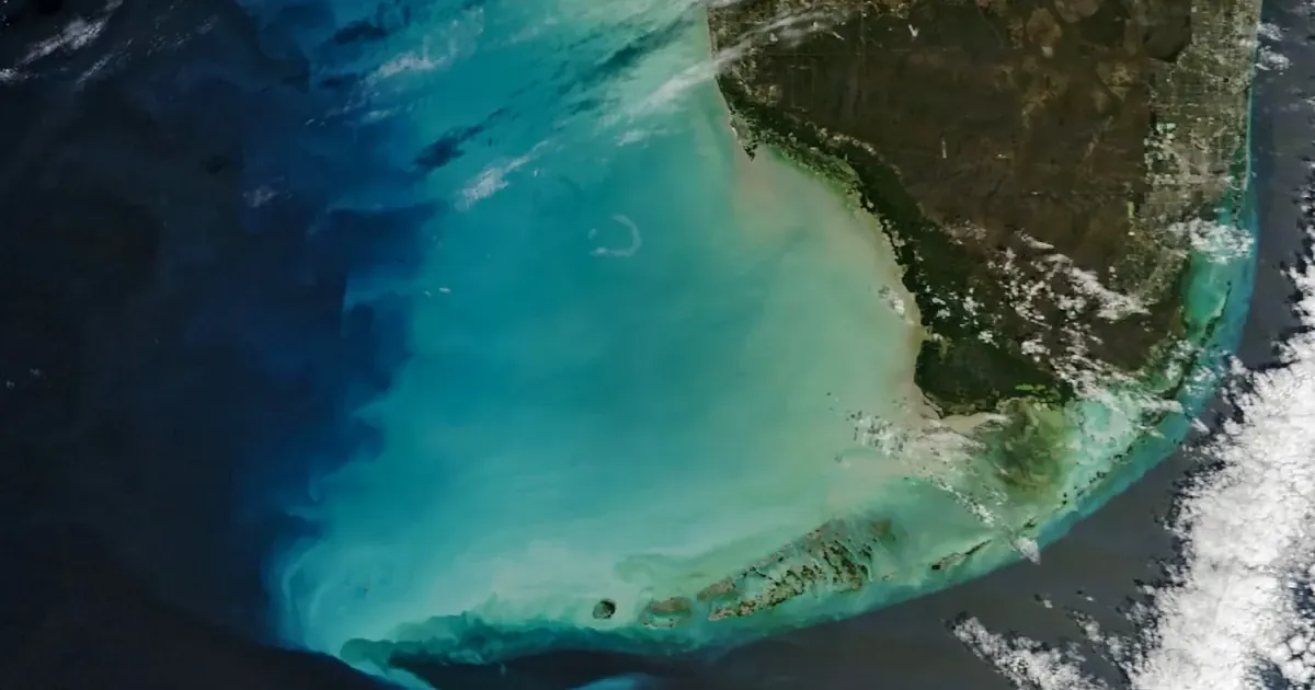 NASA помітила зміну кольору океанських вод Флориди