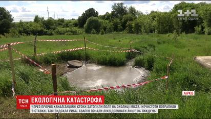 Из-за прорыва канализации в Харькове нечистоты загрязнили поля и пруды