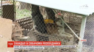 Собачий могильник просто неба: у приватному розпліднику виявили тіла тварин
