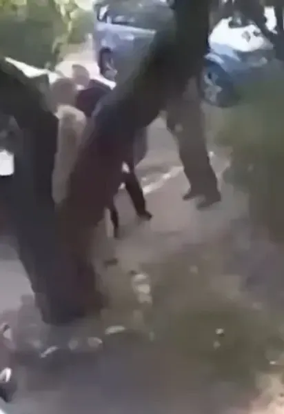 У бабушки сломаны рука и бедро после стычки с ТЦК: родственники харьковчанки заявили о предложении взятки за молчание