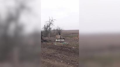 Гора трупов россиян в "серой зоне": кадры возле Роботиного