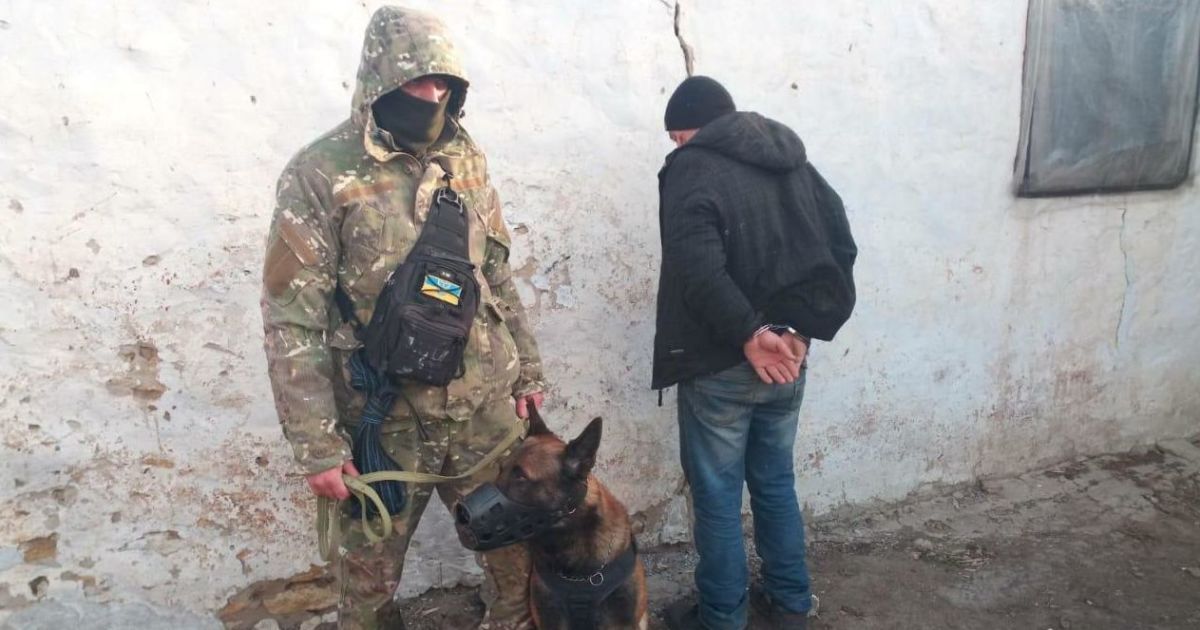 Догнал беглеца и схватил: в Херсонской области полицейский пес задержал серийного вора