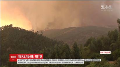 Через пекельну спеку у Португалії спалахнули масштабні лісові пожежі