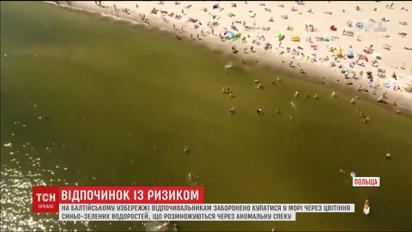 Токсичные водоросли атакуют Балтику