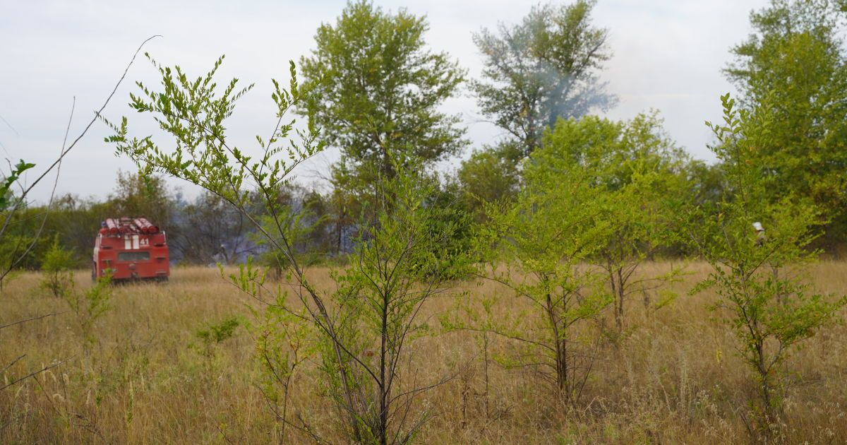 Пожежі у Луганській області: рятувальники гасять лісову підстилку та траву