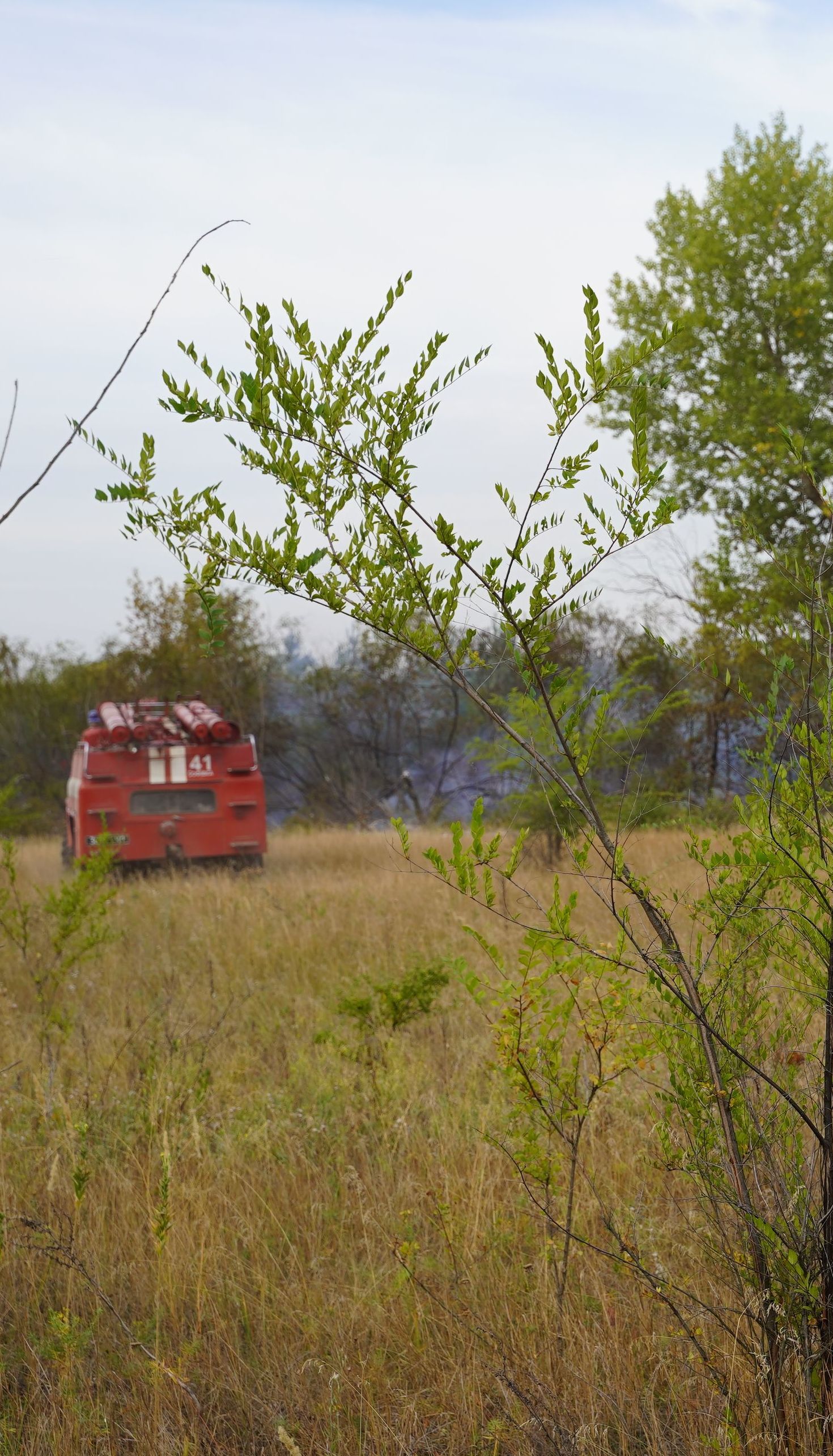 Пожежі у Луганській області: рятувальники гасять лісову підстилку та траву