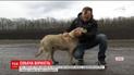 На Харьковщине собака уже год сидит на обочине, ожидая своих хозяев
