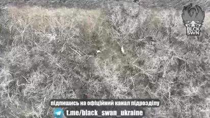 Українські бійці показали черговий факт мародерства росіян