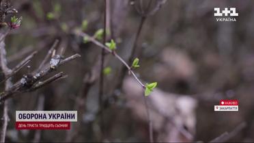 Закарпатье удивило: в регион не по расписанию пришла весна