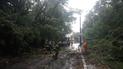 Из-за шторма обесточены 348 населенных пунктов в 9 областях