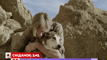 Четвероногий помог побороть хозяину рак, а сам умер от этой болезни