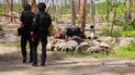 Зухвала бурштинова схема: 47 обшуків та кілограми каміння, замість розвідки – незаконний видобуток