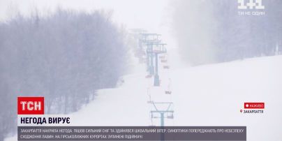 Закарпаття накрили сильні снігопади та шквальний вітер | Погода в Україні