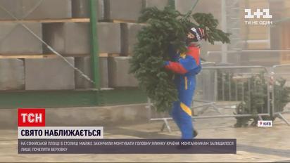 19 декабря на Софийской площади засияет главная елка страны | Новости Украины