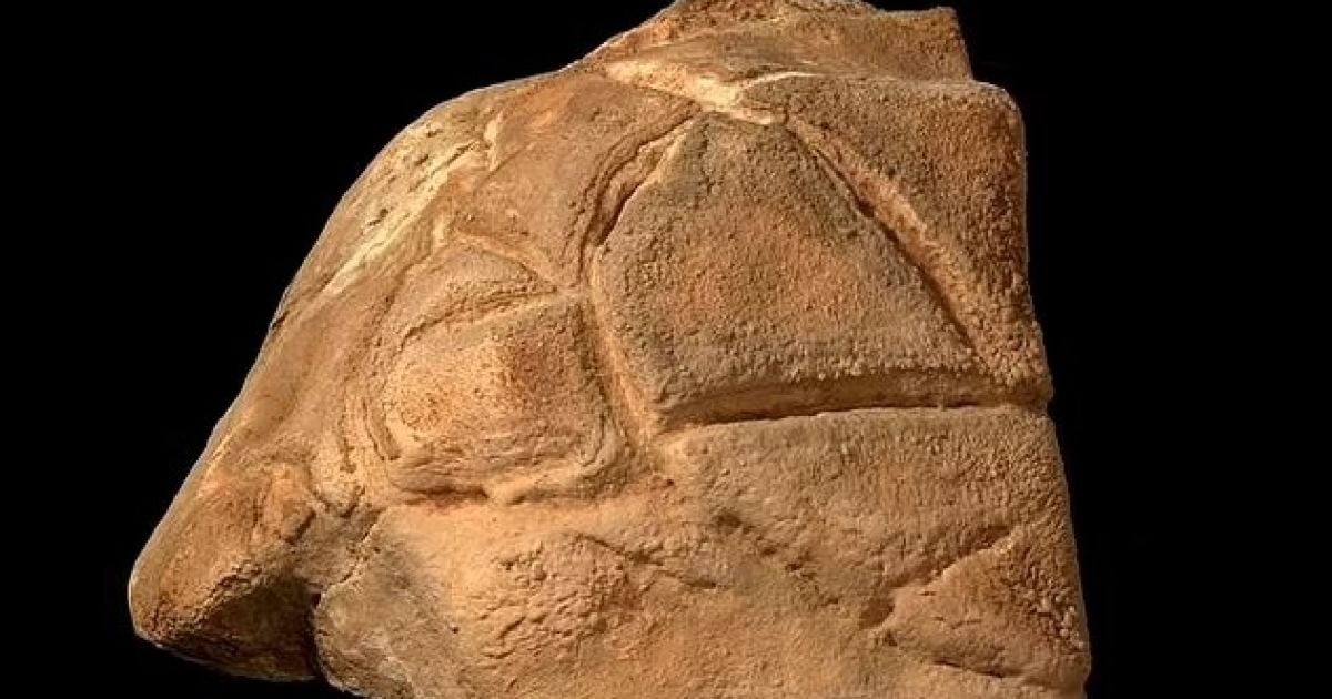 Стародавня статуя черепахи була вирізана 35 тисяч років тому.