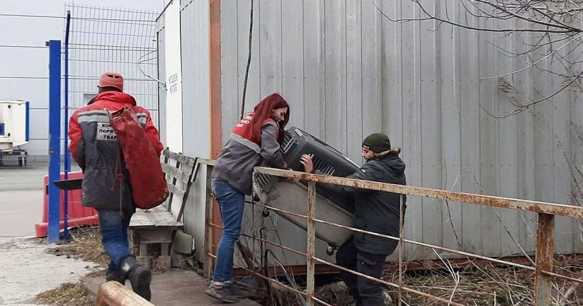 Під Києвом з аварійного дерева рятувальники знімали єнота