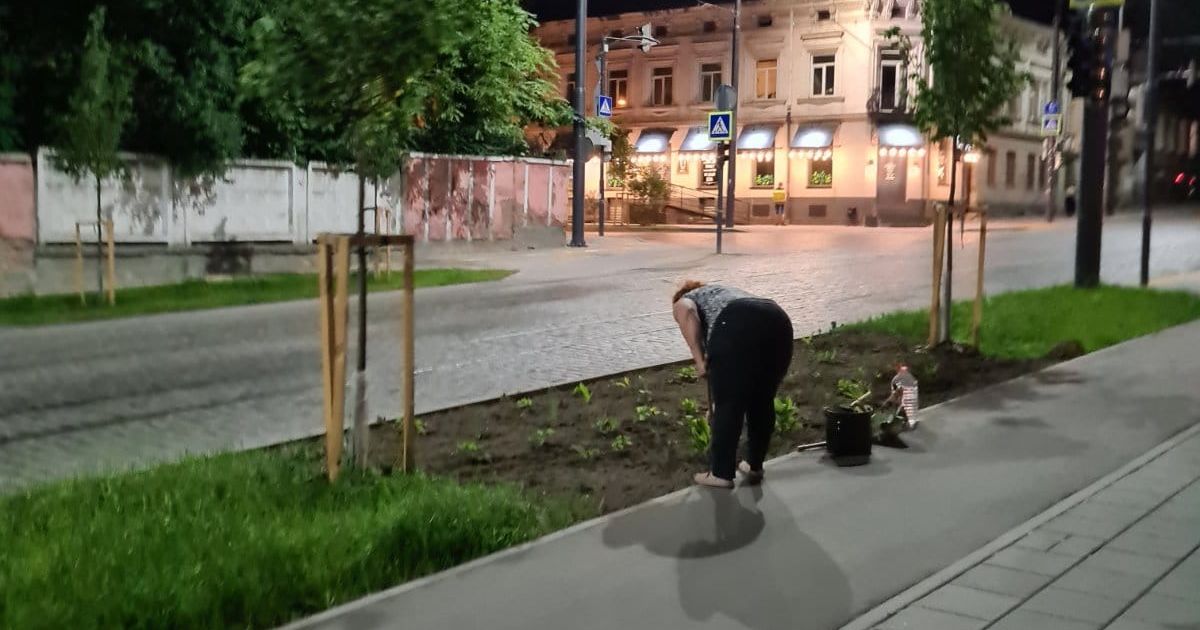 Росла трава після ремонту: в Львові жінка посеред ночі самовільно перекопала газон та посадила там квіти