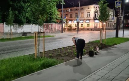 Росла трава после ремонта: во Львове женщина посреди ночи самовольно перекопала газон и посадила там цветы