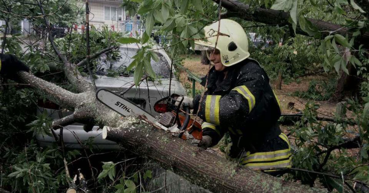 У Хмельницькій області рятувальники визволили дитину, яка застрягла між деревами