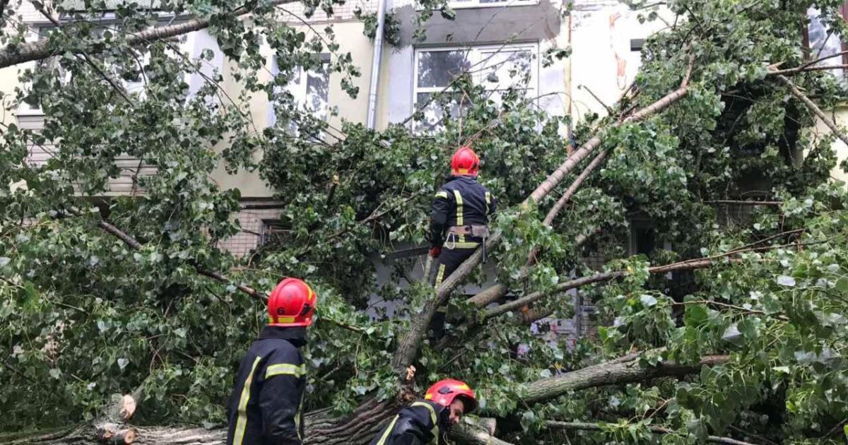 Негода залишила без світла 112 населених пунктів та повалила понад три десятки дерев