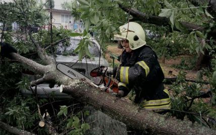 Непогода прокатилась по Украине: поваленные деревья травмировали людей и крушили машины