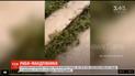 В Китае сняли на видео, как сотни рыб-ползунов вышли из воды и направляются в поисках чистой воды