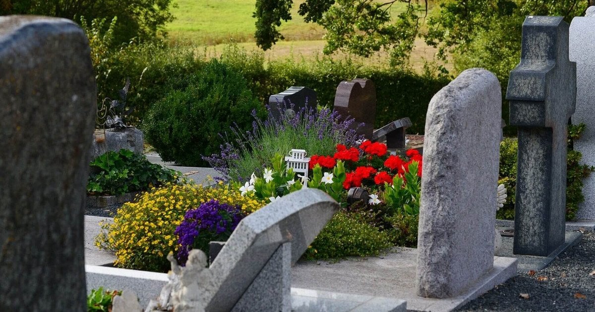 Які квіти посадити на могилі