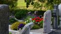 Какие цветы посадить на могиле