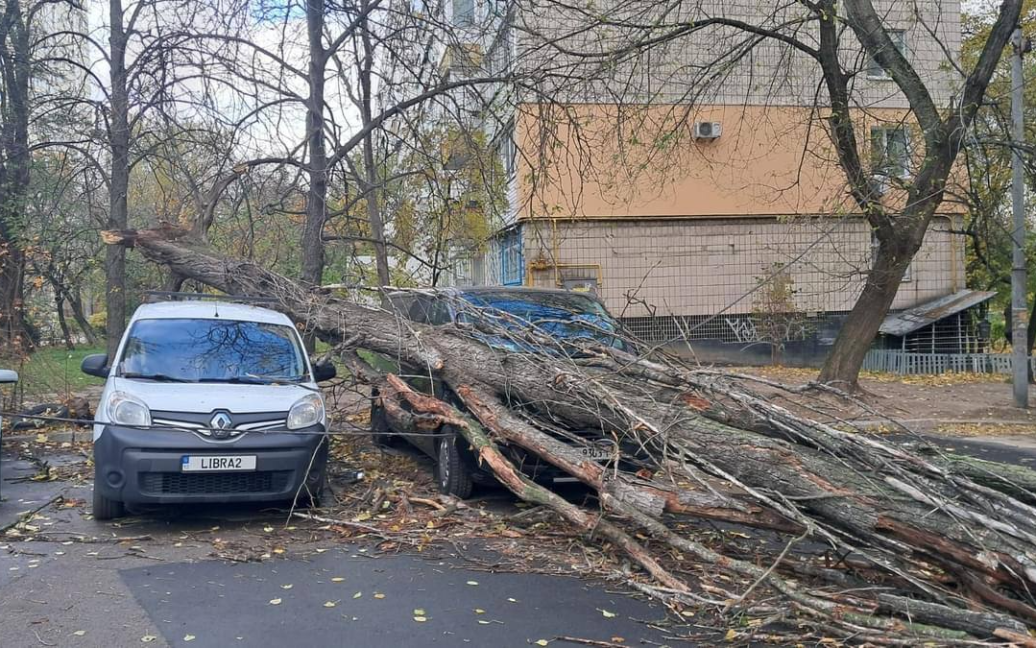 Деревопад в Киеве / © из соцсетей