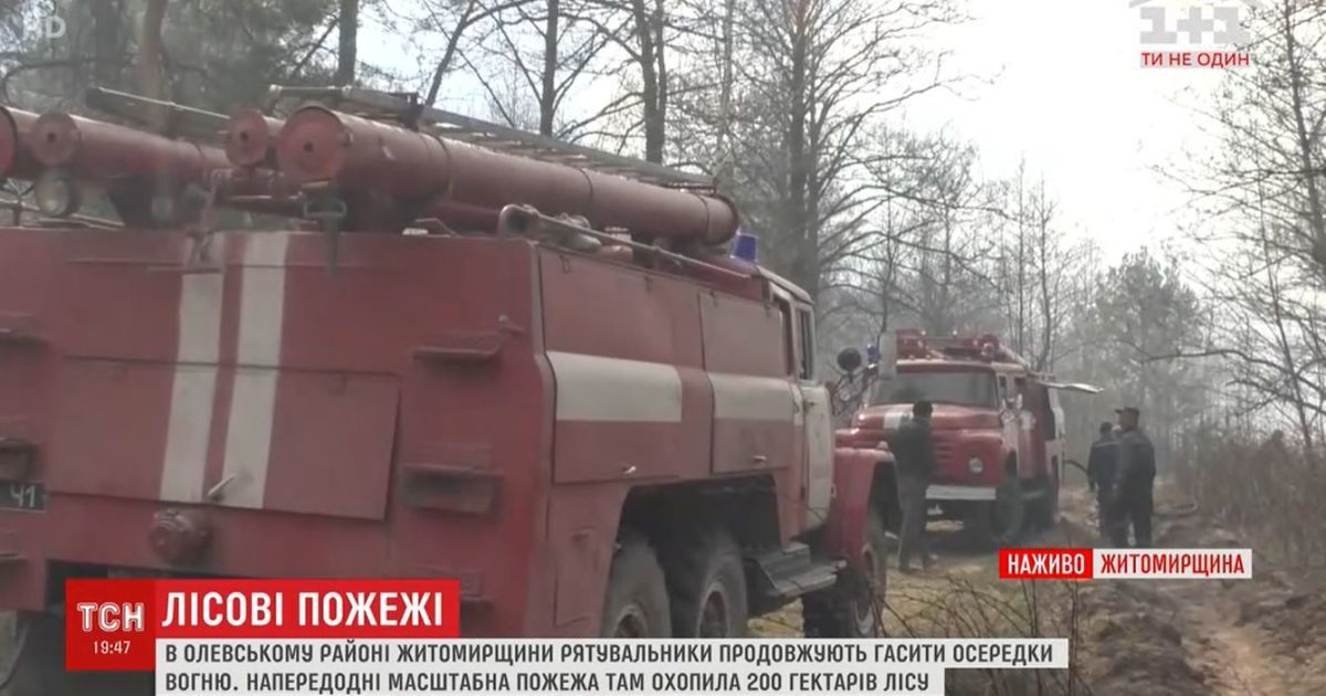 У Житомирській області пожежі підібрались до сіл: місцеві мешканці допомагають рятувальникам