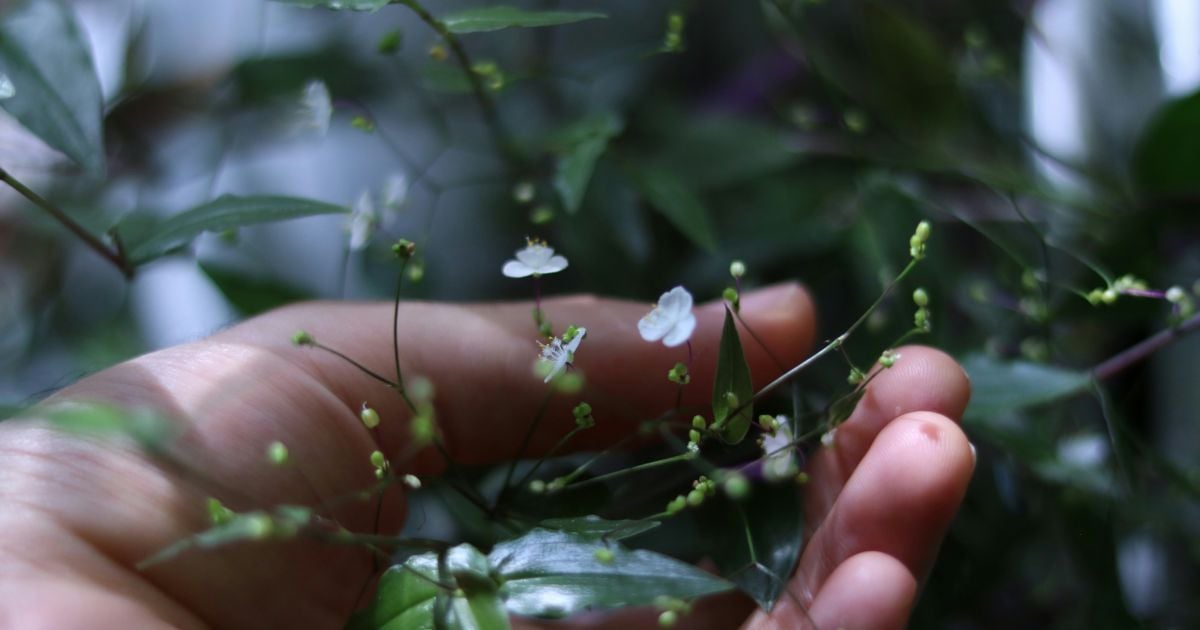 Какой сегодня 12 мая день ангела