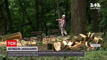Новини України: пара закоханих загинула, коли на них упало дерево в парку