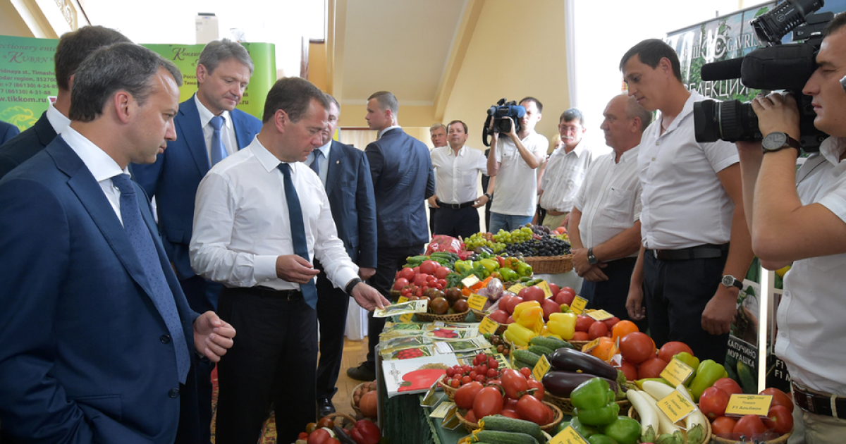 Медведеву (в центре) показывают сельхозпродукцию Краснодарского края