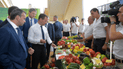 Медведеву (в центре) показывают сельхозпродукцию Краснодарского края