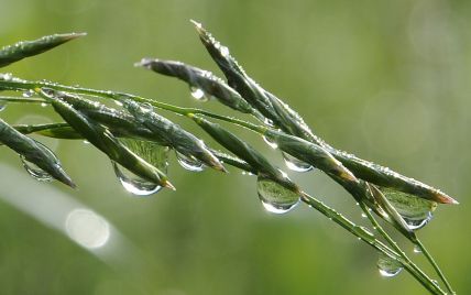 Погода в Украине 28-29 августа: последние выходные лета будут теплыми, но дождливыми