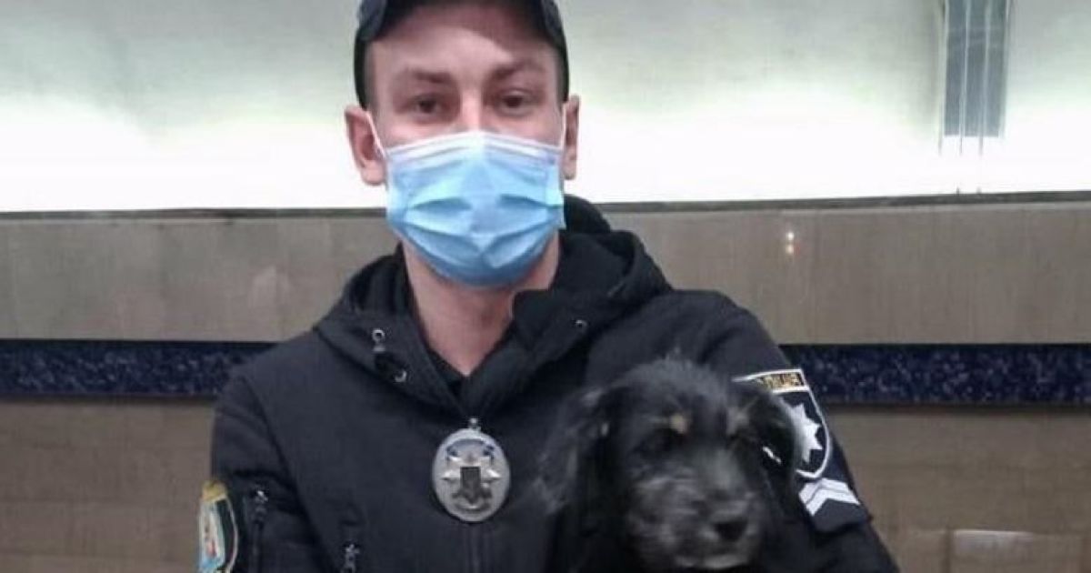 У Києві собака забрів до метро
