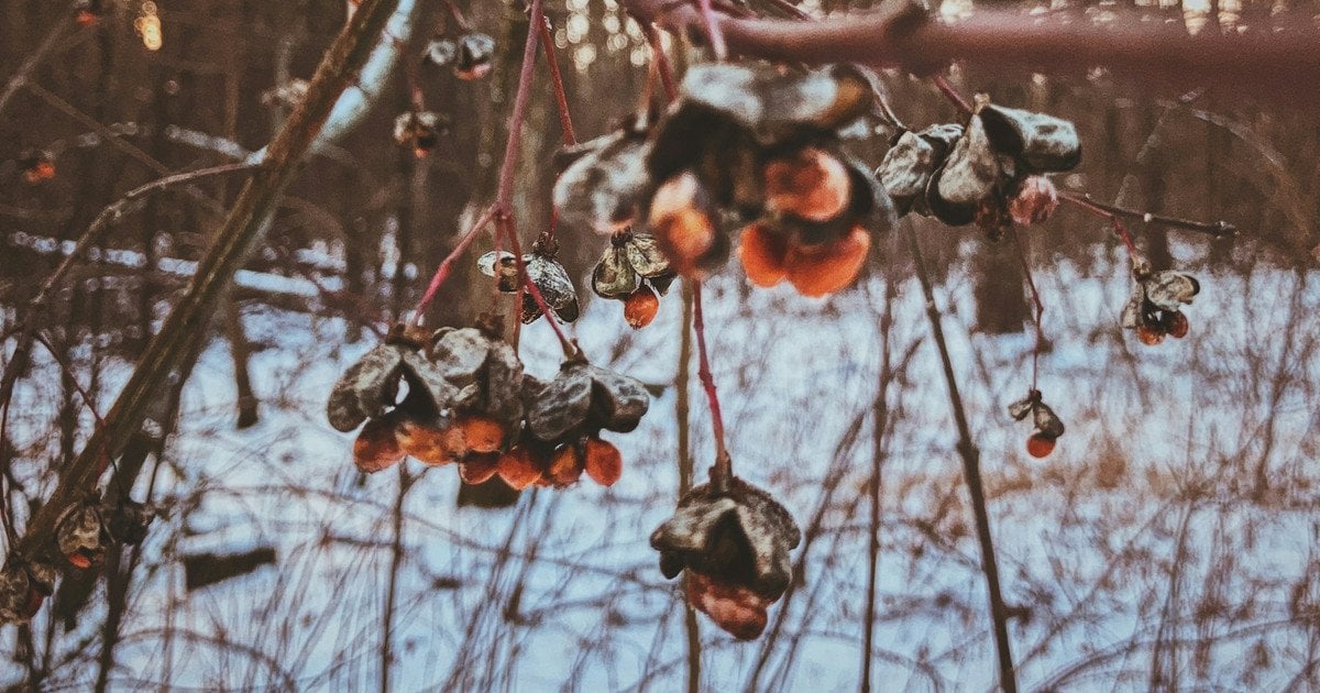 Какой сегодня, 23 декабря, день ангела