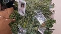 У Києві іноземець прикрасив пакетиками з наркотиками свою ялинку