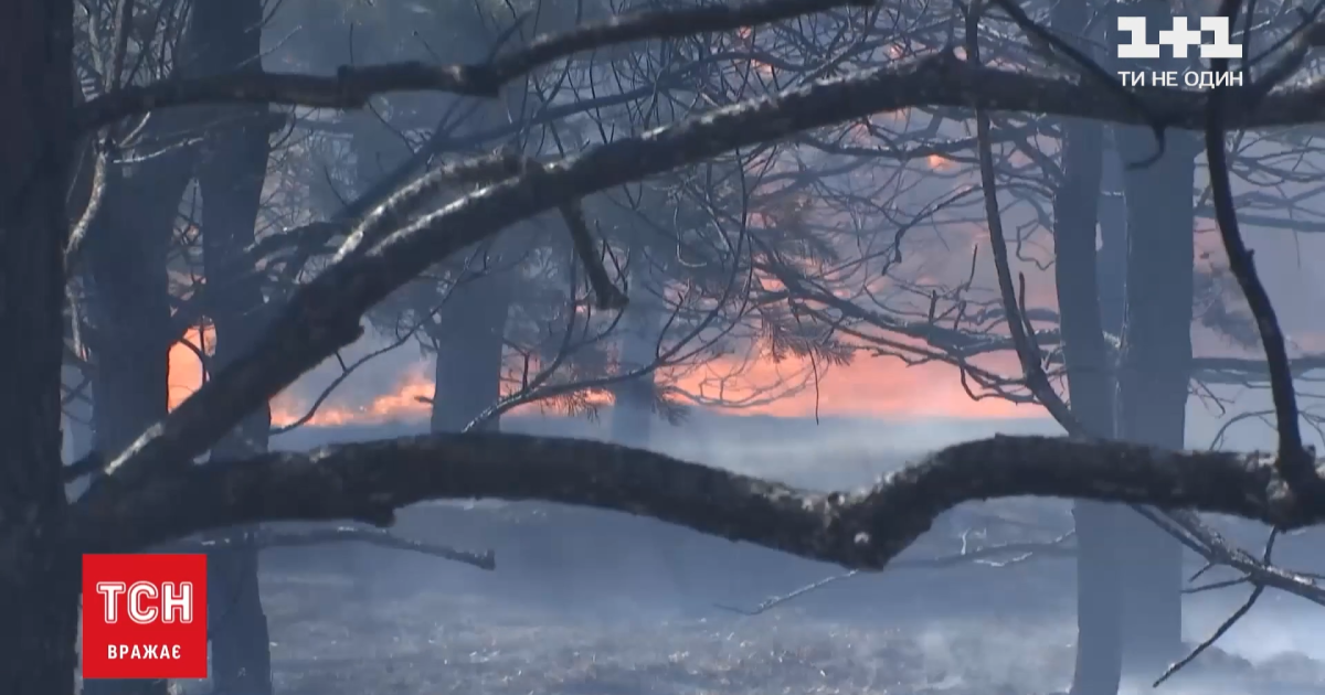 Час від часу вибухають міни: нова масштабна пожежа спалахнула поблизу фронту у Луганській області