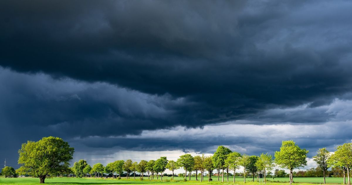 Погода в Украине на следующую неделю