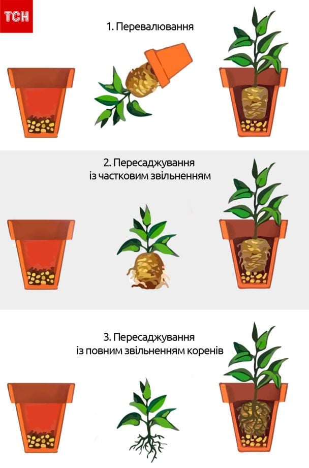 / © ТСН.ua